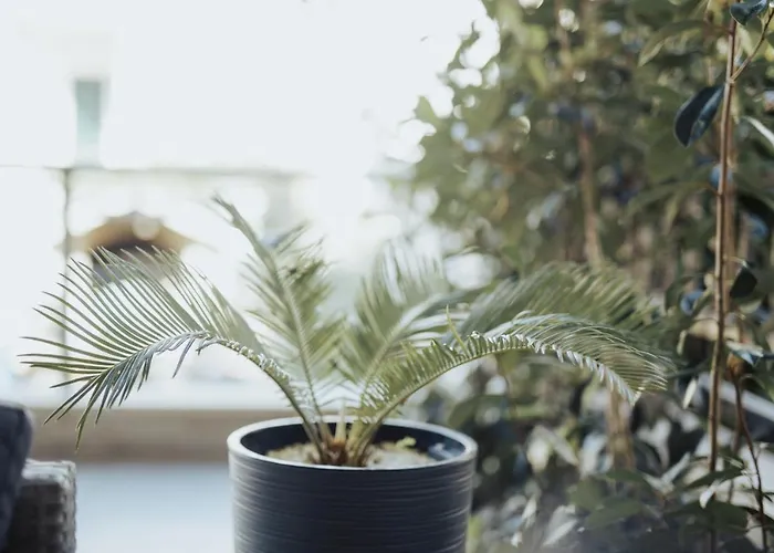 Bernarda Διαμέρισμα *